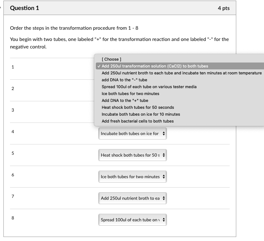 Question 1
4 pts

Order the steps in the transformation procedure from 1 - 8

You begin with two tubes, one labeled "+" for the transformation reaction and one labeled "-" for the negative control.

1
[ Choose ]
? Add 250ul transformation solution (CaCl2) to both tubes
Add 250ul nutrient broth to each tube and incubate ten minutes at room temperature
add DNA to the "-" tube
Spread 100ul of each tube on various tester media
Ice both tubes for two minutes
Add DNA to the "+" tube
Heat shock both tubes for 50 seconds
Incubate both tubes on ice for 10 minutes
Add fresh bacterial cells to both tubes

2

3

4
Incubate both tubes on ice for

5
Heat shock both tubes for 50 s

6
Ice both tubes for two minutes

7
Add 250ul nutrient broth to ea

8
Spread 100ul of each tube on v