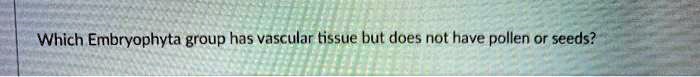 Which Embryophyta group has vascular tissue but does not have pollen or seeds?