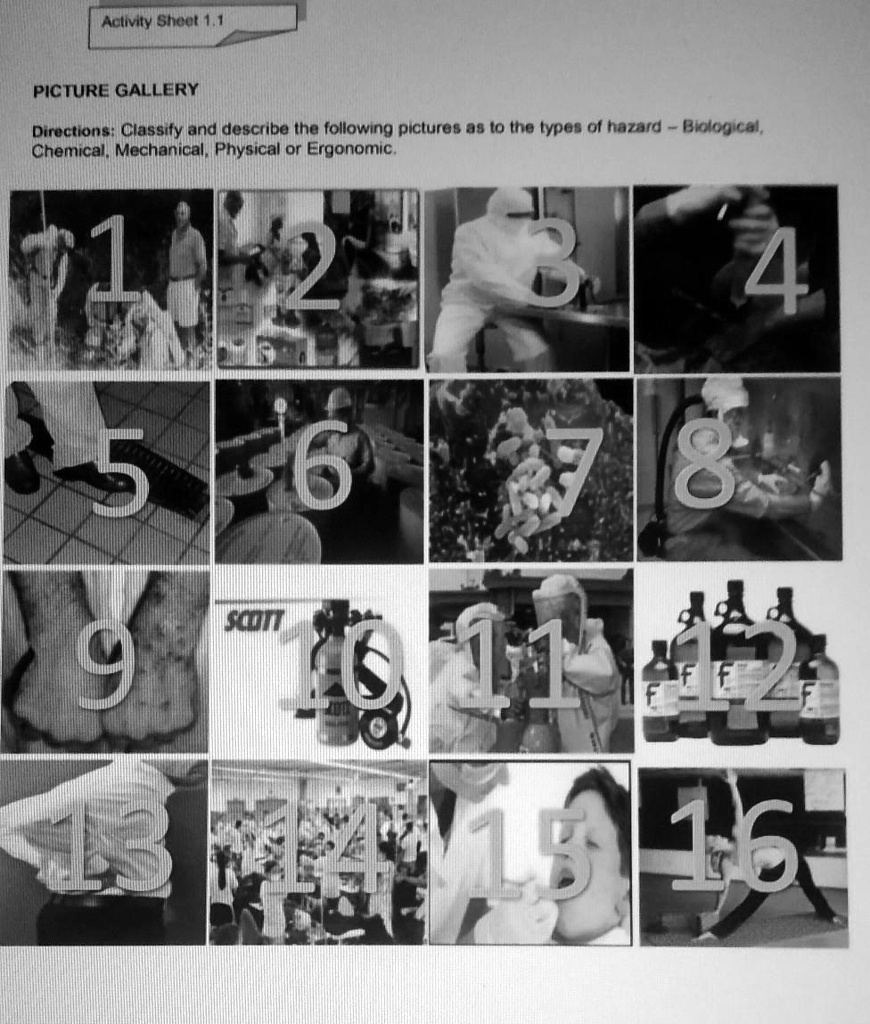 Activity Sheet 1.1
PICTURE GALLERY
Directions: Classify and describe the following pictures as to the types of hazard - Biological,
Chemical, Mechanical, Physical or Ergonomic.
1
2
3
4
5
6
7
8
9
10
11
12
13
14
15
16