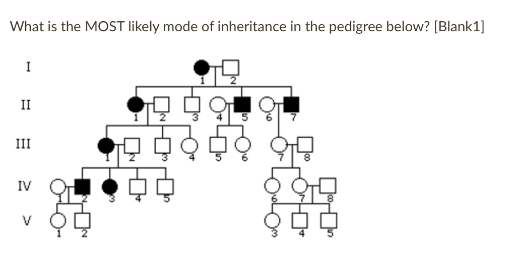 SOLVED: What Is The MOST Likely Mode Of Inheritance In The Pedigree ...