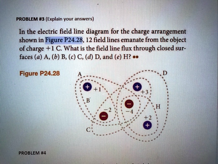 Solved Problem 3 Explain Your Answers In The Electric Field Line