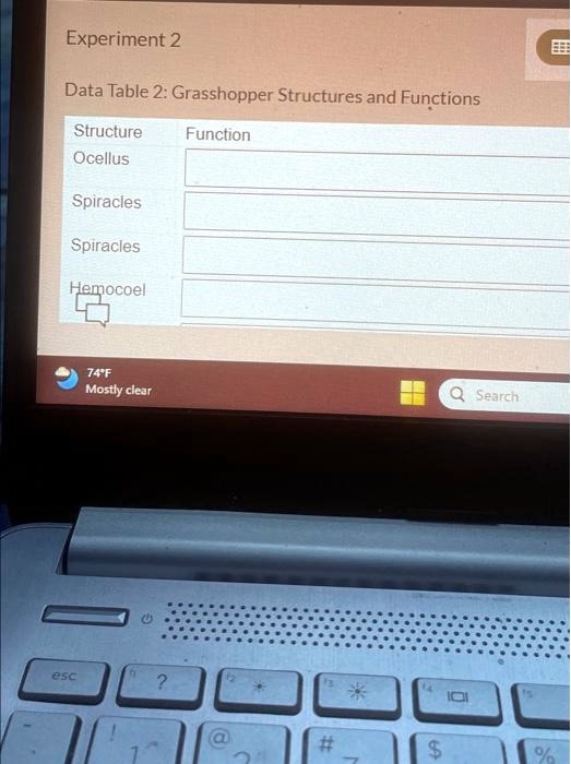 SOLVED: Experiment 2 Data Table 2: Grasshopper Structures and Functions ...