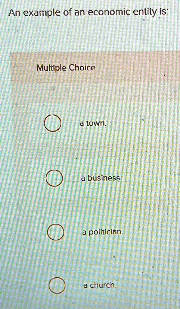 An example of an economic entity is: Multiple Choice a town. a business ...
