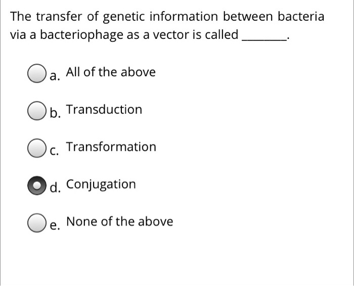 The transfer of genetic information between bacteria via a bacteriophage as a vector is called .

a. All of the above
b. Transduction
c. Transformation
d. Conjugation
e. None of the above