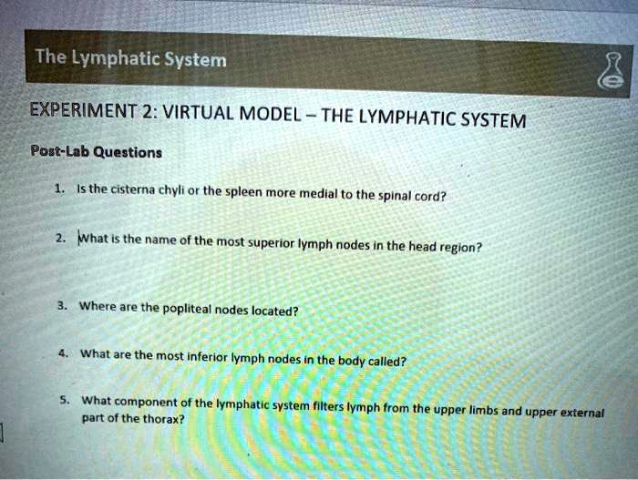 lymphatic system experimental questions