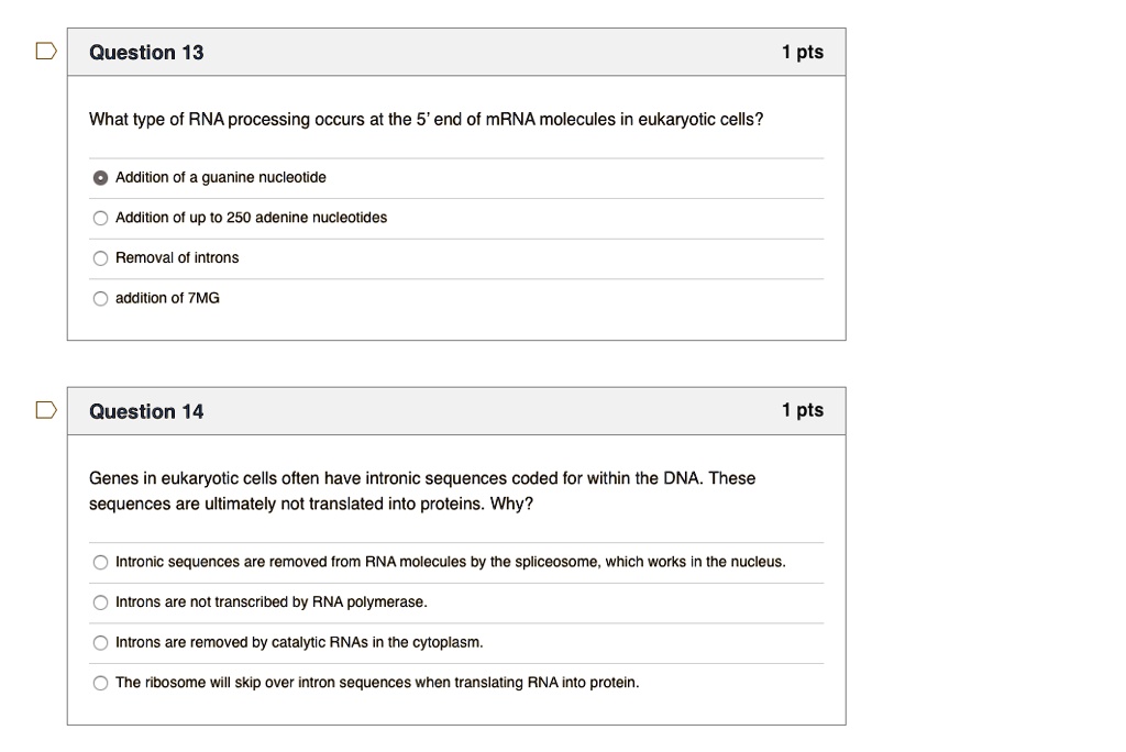 What type of RNA processing occurs at the 5' end of mRNA molecules in eukaryotic cells?
Addition of a guanine nucleotide
Addition of up to 250 adenine nucleotides
Removal of introns
addition of 7MG
Genes in eukaryotic cells often have intronic sequences coded for within the DNA. These sequences are ultimately not translated into proteins. Why?
Intronic sequences are removed from RNA molecules by the spliceosome, which works in the nucleus.
Introns are not transcribed by RNA polymerase.
Introns are removed by catalytic RNAs in the cytoplasm.
The ribosome will skip over intron sequences when translating RNA into protein.