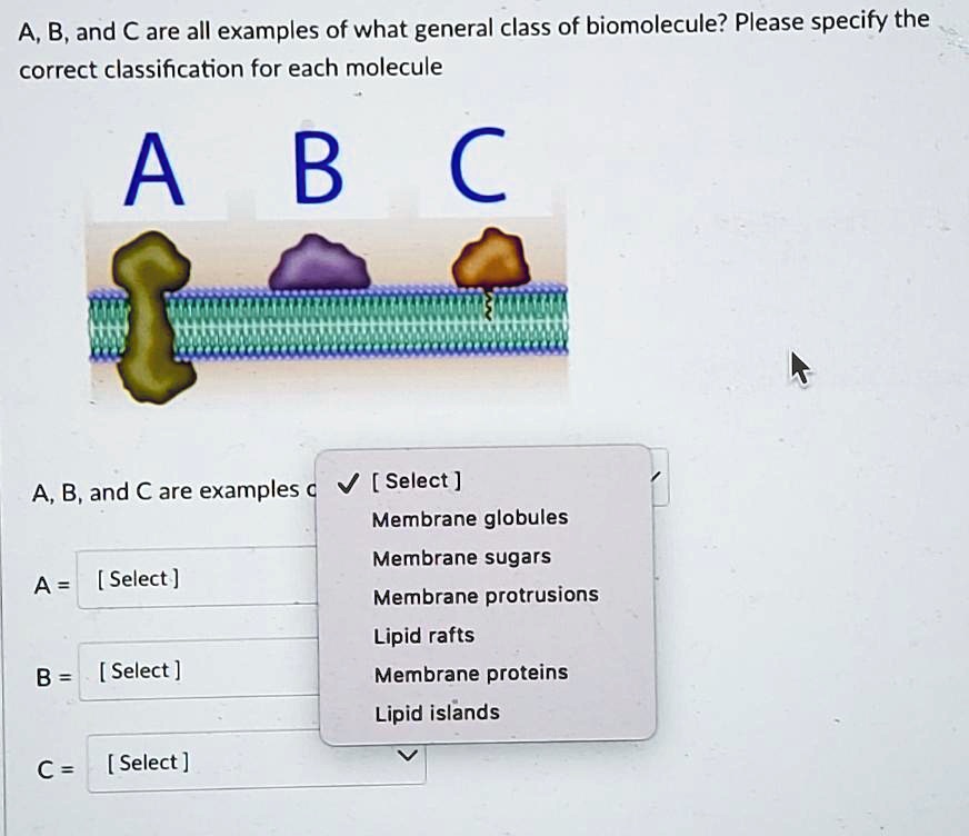 SOLVED: Texts: A, B, And C Are All Examples Of What General Class Of ...