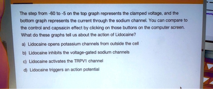 The step from -60 to -5 on the top graph represents the clamped voltage, and the
bottom graph represents the current through the sodium channel. You can compare to
the control and capsaicin effect by clicking on those buttons on the computer screen.
What do these graphs tell us about the action of Lidocaine?
a) Lidocaine opens potassium channels from outside the cell
b) Lidocaine inhibits the voltage-gated sodium channels
c) Lidocaine activates the TRPV1 channel
d) Lidocaine triggers an action potential