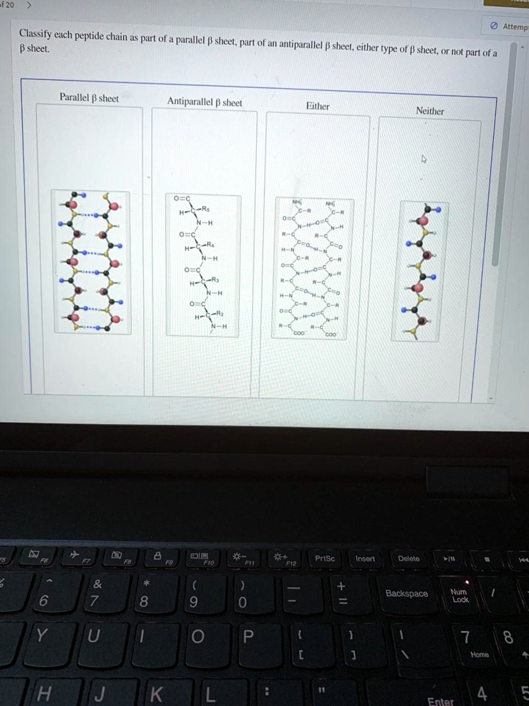 solved-classify-each-peptide-chain-as-part-of-a-parallel-sheet