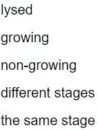 lysed growing non growing different stages the same stage 55343