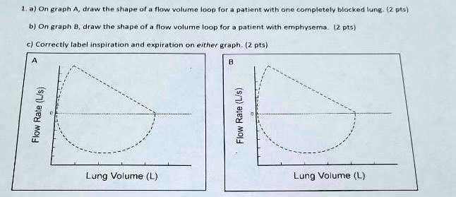 SOLVED: 1. a) On graph A, draw the shape of a flow volume loop for a ...
