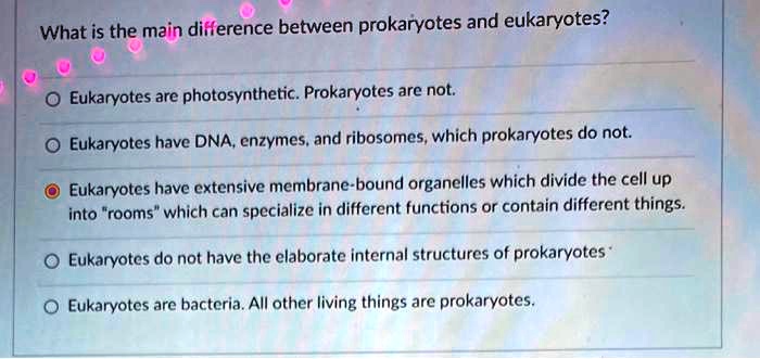 What is the main difference between prokaryotes and eukaryotes ...