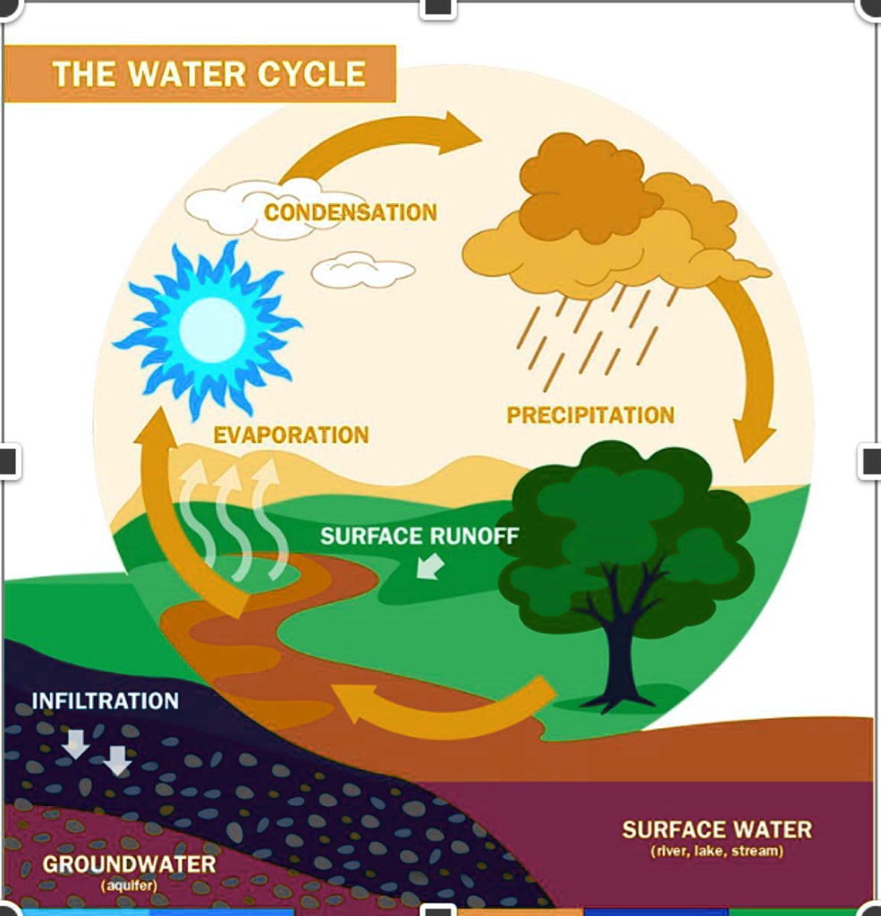 SOLVED: Explain the water cycle diagram. THE WATER CYCLE CONDENSATION ...