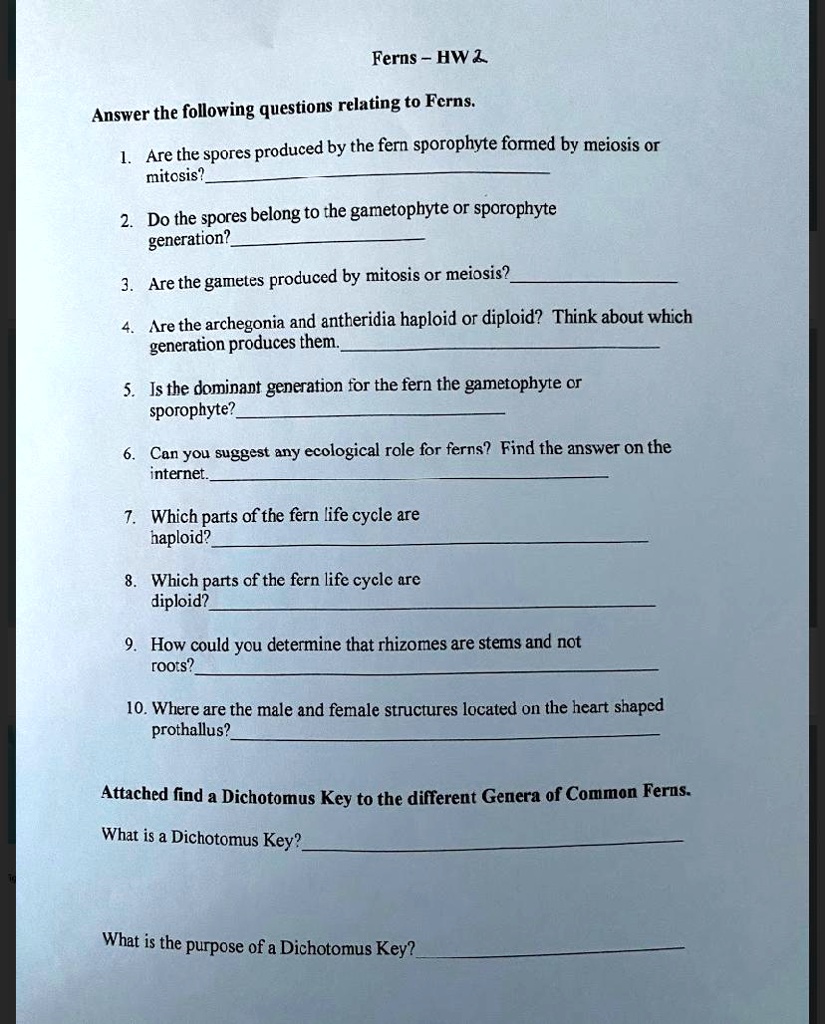 Ferns - HW 2
Answer the following questions relating to Ferns.
1. Are the spores produced by the fern sporophyte formed by meiosis or mitosis?
2. Do the spores belong to the gametophyte or sporophyte generation?
3. Are the gametes produced by mitosis or meiosis?
4. Are the archegonia and antheridia haploid or diploid? Think about which generation produces them.
5. Is the dominant generation for the fern the gametophyte or sporophyte?
6. Can you suggest any ecological role for ferns? Find the answer on the internet.
7. Which parts of the fern life cycle are haploid?
8. Which parts of the fern life cycle are diploid?
9. How could you determine that rhizomes are stems and not roots?
10. Where are the male and female structures located on the heart shaped prothallus?
Attached find a Dichotomus Key to the different Genera of Common Ferns.
What is a Dichotomus Key?
What is the purpose of a Dichotomus Key?