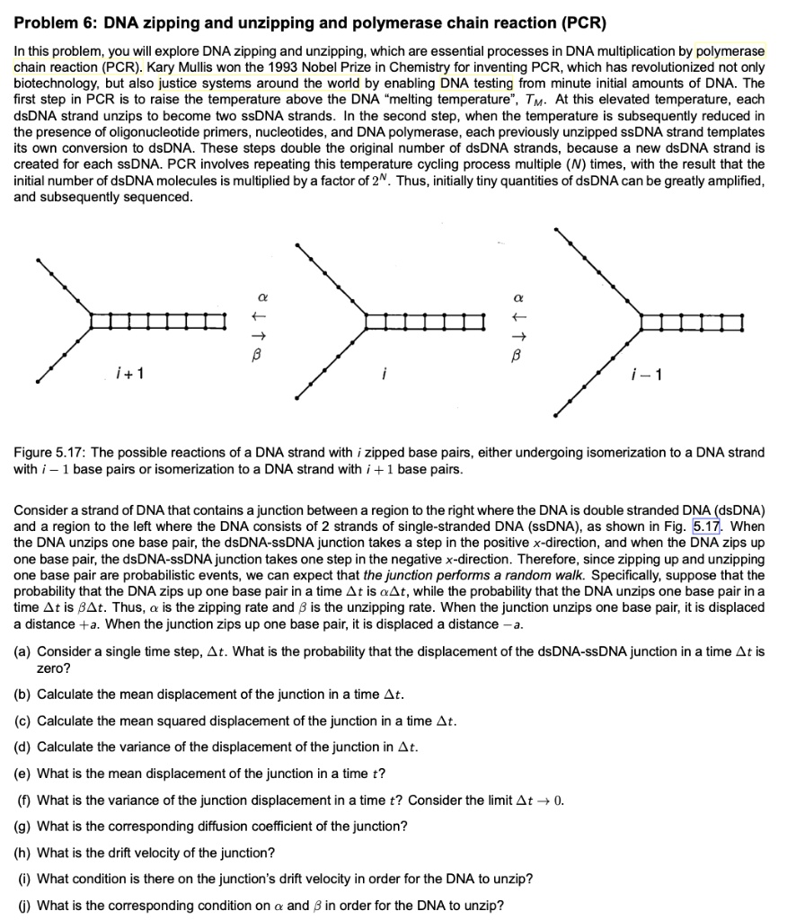 SOLVED Problem 6 DNA Zipping And Unzipping And Polymerase Chain