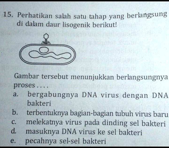 Solved Bantu Cepat 20 Poin Guys 15 Perhatikan Salah Satu Tahap