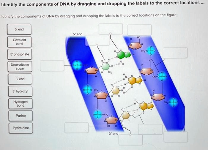 Identify The Components Of