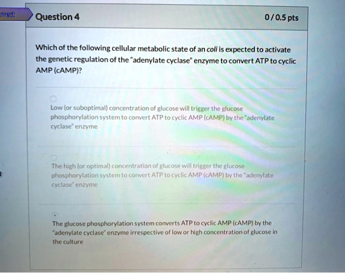 Solved:rrect Question 4 0/0.5Pts Whichof The Following Cellular Metabolic  State Ofan Coli Is Expected To Activate The Genetic Regulation Of The  "Adenylate Cyclase� Enzyme To Convert Atp To Cyclic Amp (Campi? Low ( Solved:rrect Question 4 0/0.5Pts Whichof The Following Cellular Metabolic  State Ofan Coli Is Expected To Activate The Genetic Regulation Of The  "Adenylate Cyclase� Enzyme To Convert Atp To Cyclic Amp (Campi? Low (
