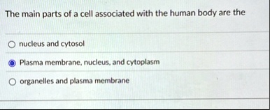the main parts of a cell associated with the human body are the nucleus and cytosol plasma membrane nucleus and cytoplasm organelles and plasma membrane 34074