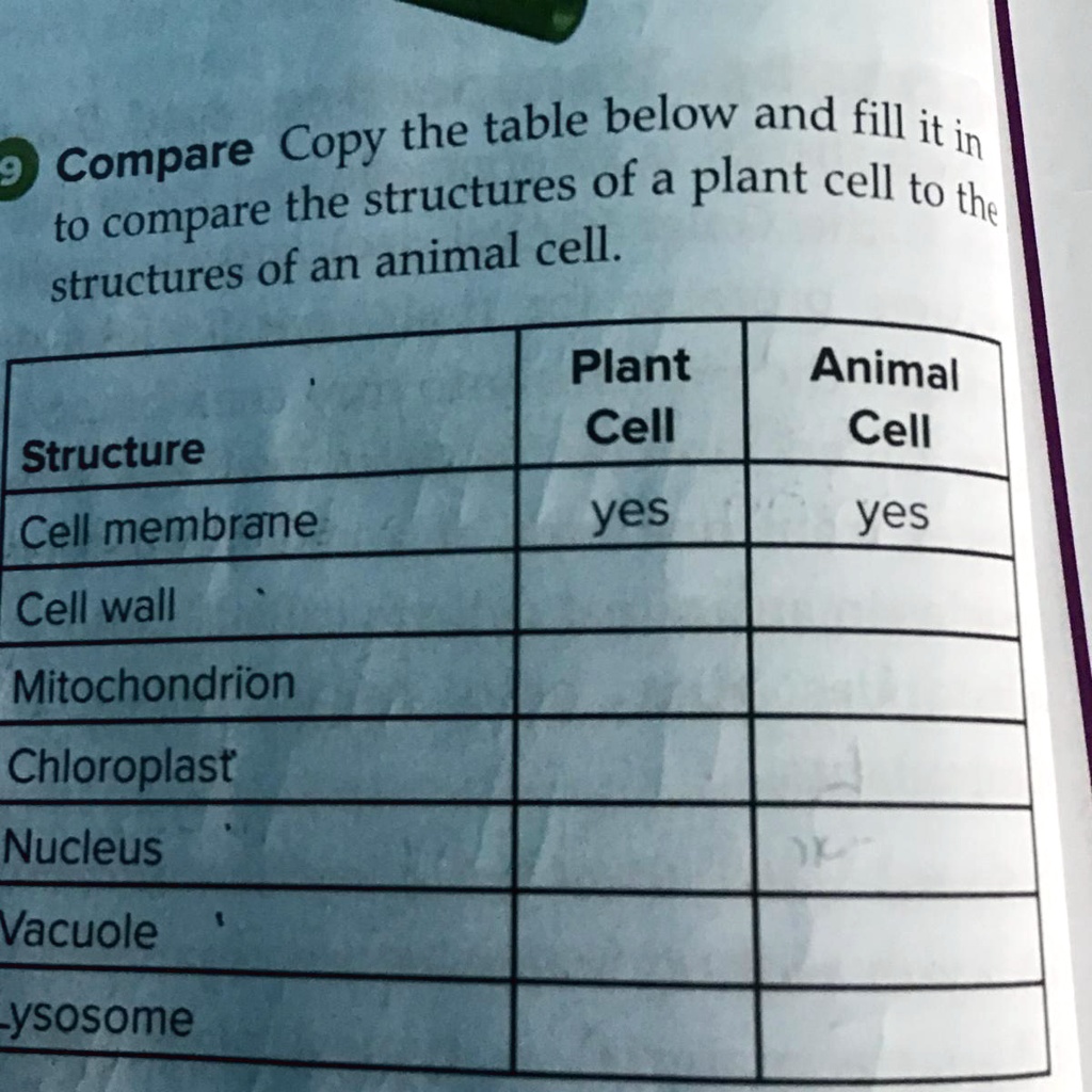 SOLVED: 'Somebody help me with this please Copy the table below and fill  itin 9 Compare structures of a plant cell to to compare the the structures  of an animal cell. Plant