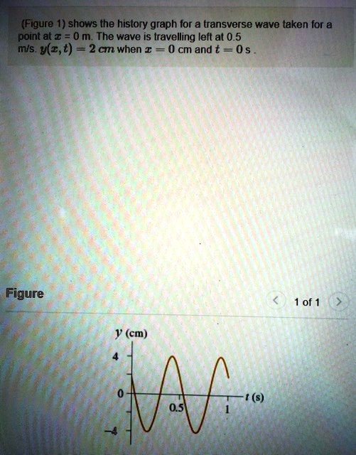 figure-1-shows-the-history-graph-for-a-transverse-solvedlib