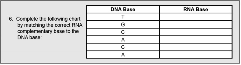 SOLVED: DNA Base RNA Base Complete the following chart by matching the ...