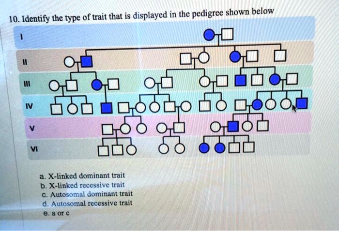 1. Identify the type of trait that is displayed in the pedigree shown ...