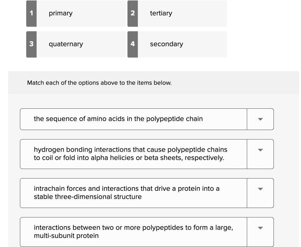 SOLVED Match the following levels of protein structure to their