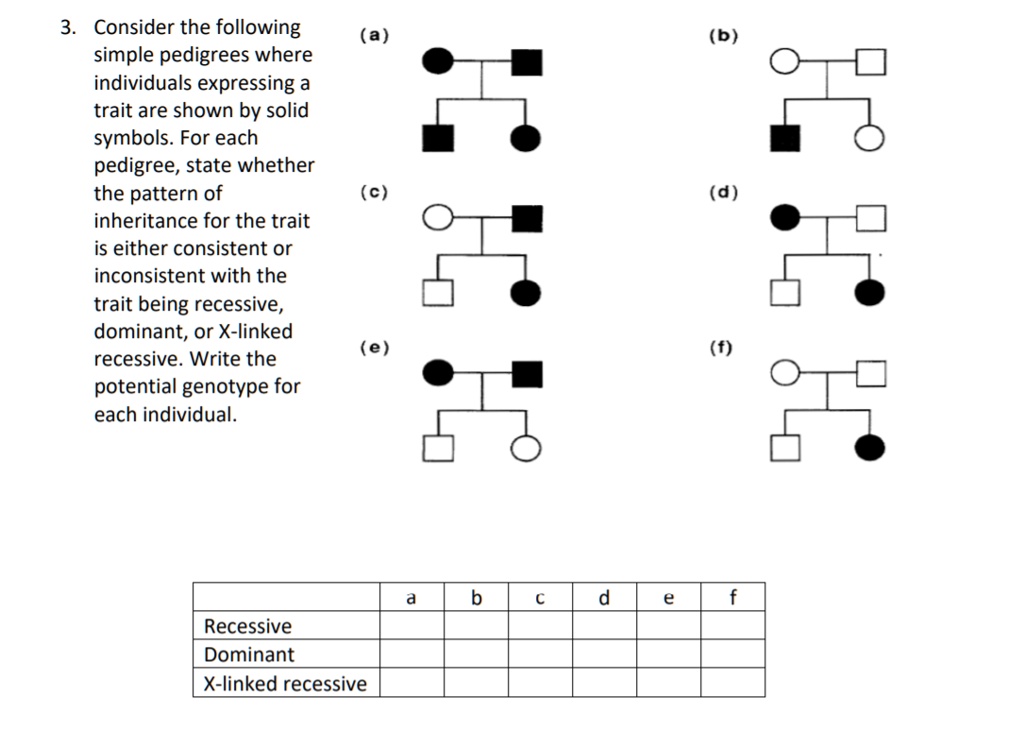 SOLVED: Consider the following simple pedigrees where individuals ...