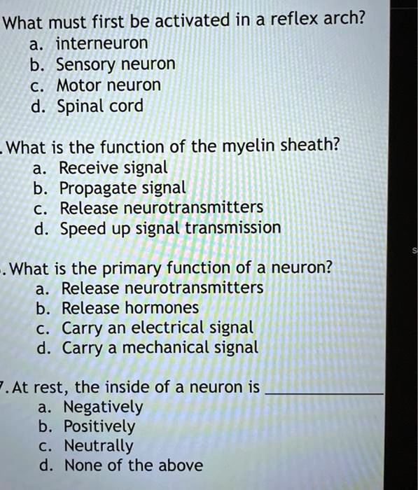 SOLVED: What Must First Be Activated In A Reflex Arch? Interneuron B ...