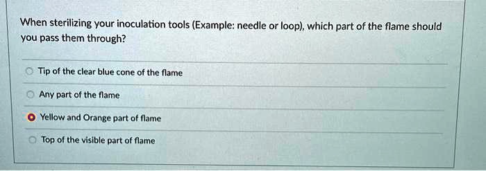 When sterilizing your inoculation tools (Example: needle or loop), which part of the flame should
you pass them through?
Tip of the clear blue cone of the flame
Any part of the flame
Yellow and Orange part of flame
Top of the visible part of flame