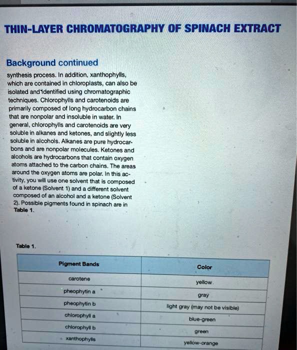 SOLVED Text THINLAYER CHROMATOGRAPHY OF SPINACH EXTRACT Background