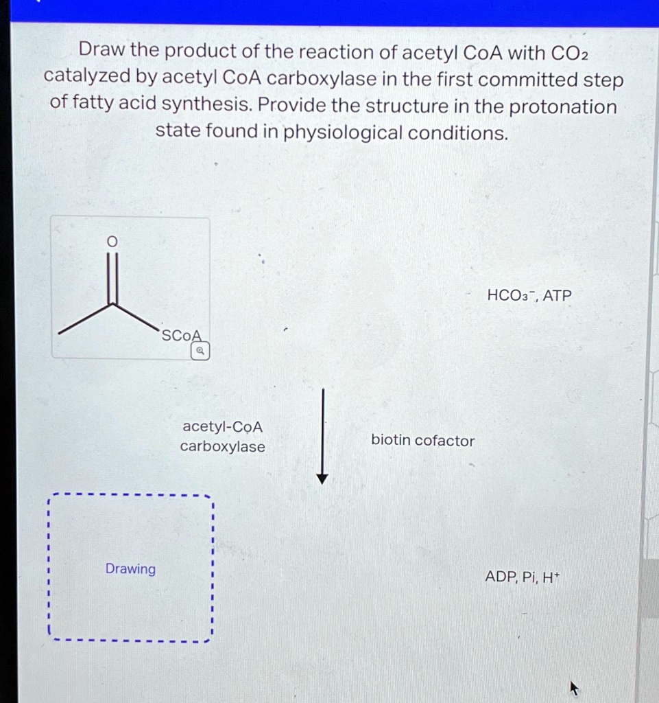 SOLVED Draw the product of the reaction of acetyl CoA with CO2