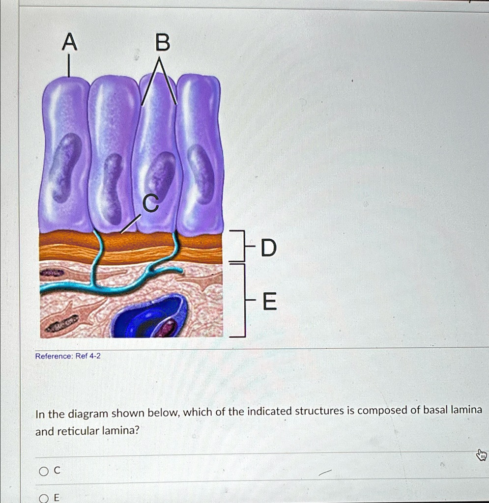 Reference: Ref 4-2 In the diagram shown below, which of the indicated ...