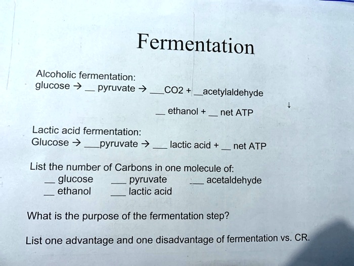SOLVED Fermentation Alcoholic fermentation glucose â†’ pyruvate + CO2