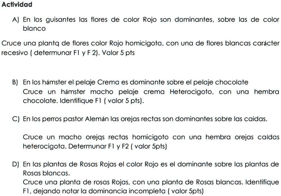 SOLVED: Ayuda Porfa... ..... Actividad A) En Los Guisantes Las Flores ...