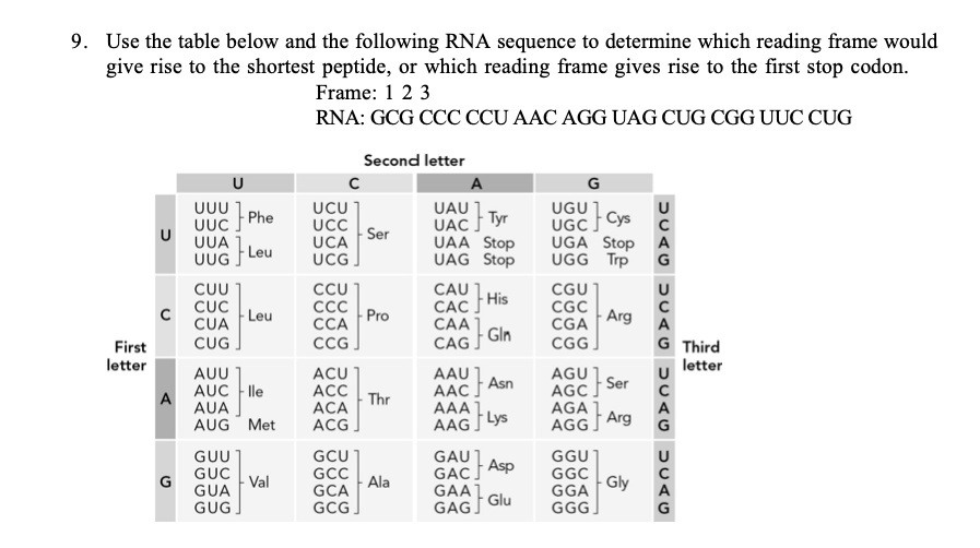 9. Use the table below and the following RNA sequence to determine ...