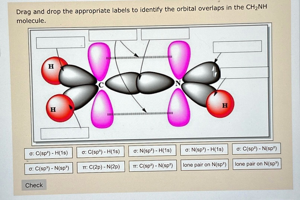 Drag and drop the appropriate labels to identify the orbital overlaps in the CH2NH molecule.
H
H
H
?: C(sp^2) - H(1s)
?: C(sp^3) - N(sp^3)
?: C(sp^3) - H(1s)
?: C(2p) - N(2p)
?: N(sp^2) - H(1s)
?: N(sp^3) - H(1s)
?: C(sp^2) - N(sp^2)
?: C(sp^2) - N(sp^2)
 lone pair on N(sp^2)
 lone pair on N(sp^3)
Check