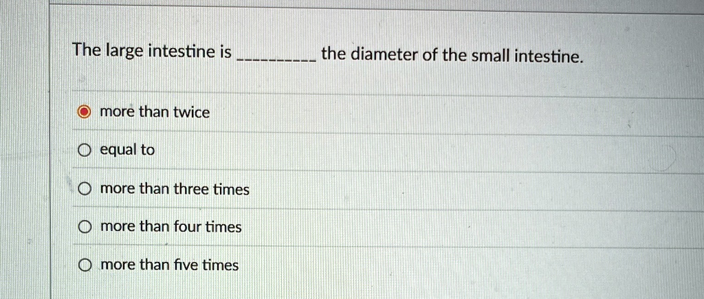 Normal Intestines Ir the large intestine is the diameter of the small intestine more than ...