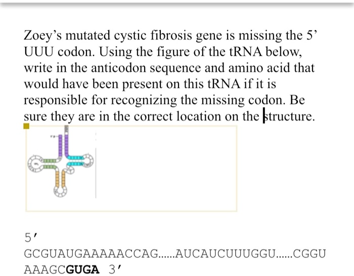 cystic fibrosis case study zoey