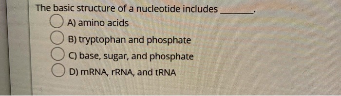 Solved The Basic Structure Of A Nucleotide Includes A Amino Acids B Tryptophan And Phosphate 9263