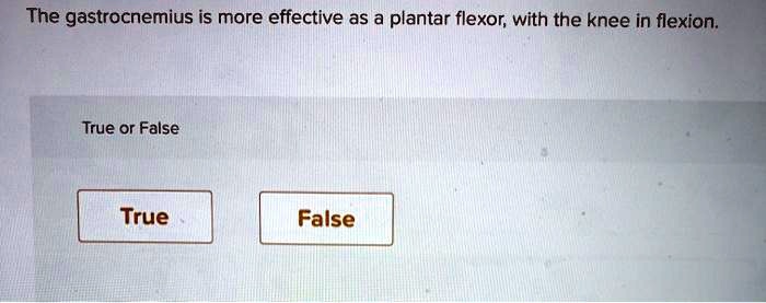 The gastrocnemius is more effective as a plantar flexor, with the knee in flexion.
True or False
True
False