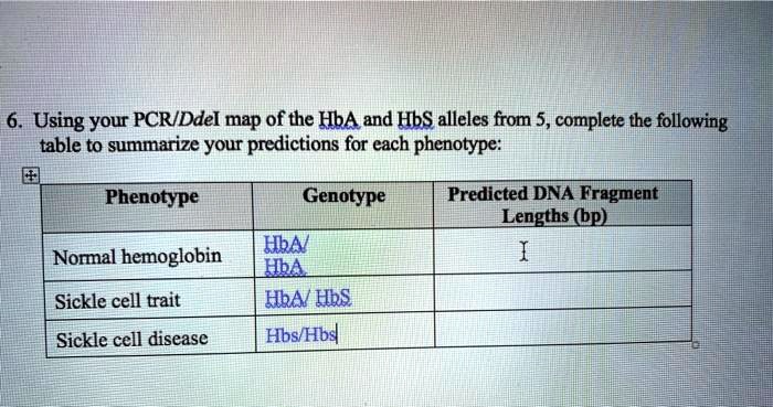 SOLVED: Using Your PCR-IDEL Map Of The HbA And HbS Alleles From 5 ...