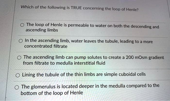 Which of the following is TRUE concerning the loop of Henle?
The loop of Henle is permeable to water on both the descending and
ascending limbs
In the ascending limb, water leaves the tubule, leading to a more
concentrated filtrate
The ascending limb can pump solutes to create a 200 mOsm gradient
from filtrate to medulla interstitial fluid
Lining the tubule of the thin limbs are simple cuboidal cells
The glomerulus is located deeper in the medulla compared to the
bottom of the loop of Henle