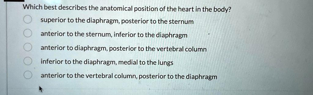 Різдвозавр частини