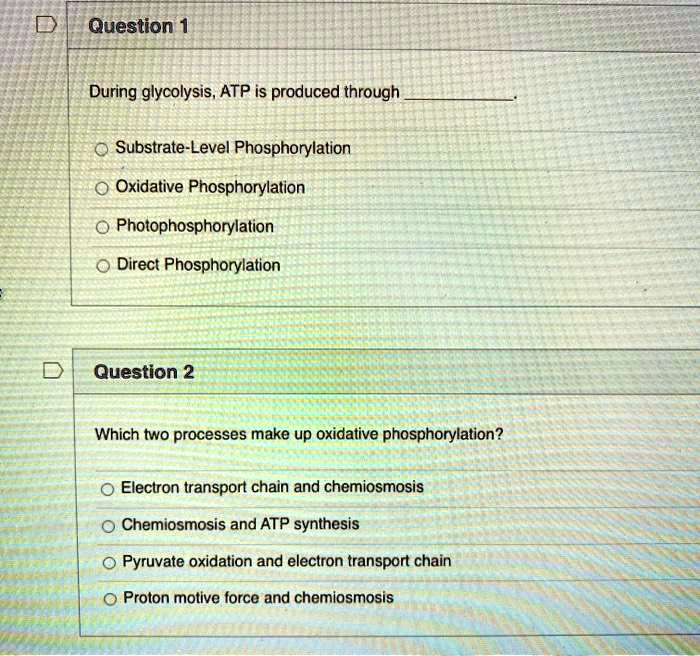 SOLVED During glycolysis, ATP is produced through SubstrateLevel Phosphorylation, Oxidative