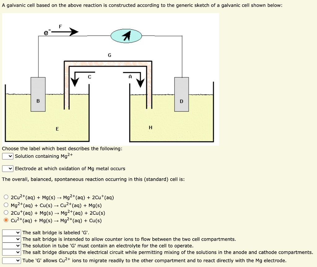 SOLVED Galvanic Cell Based The above reaction is constructed according