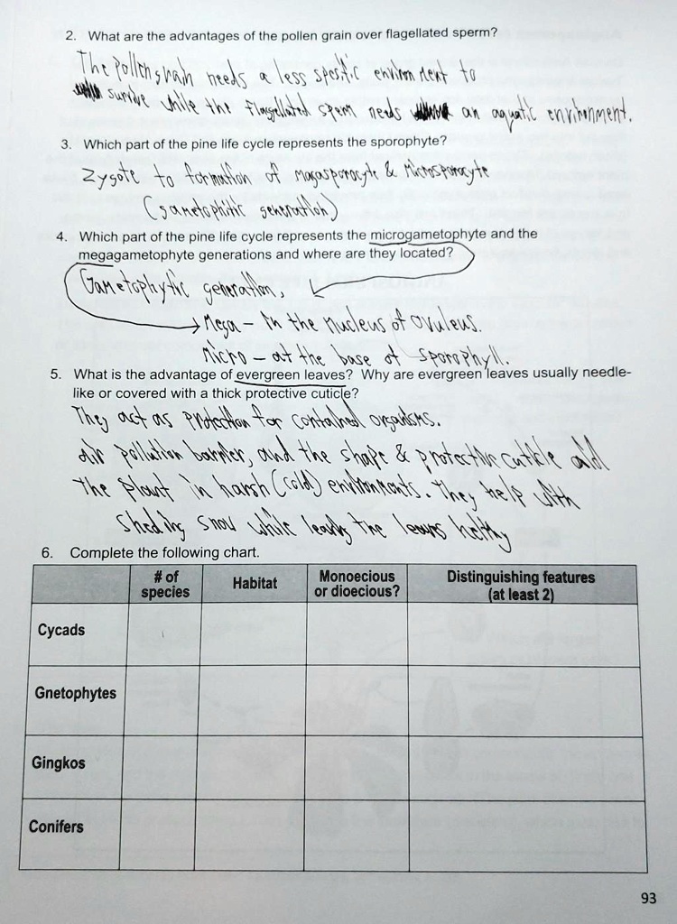 2. What are the advantages of the pollen grain over flagellated sperm?
The pollen grain needs a less specific environment to survive while the flagellated sperm needs an aquatic environment.
3. Which part of the pine life cycle represents the sporophyte?
zygote to formation of megasporocyte     Microsporocyte (gametophytic generation)
4. Which part of the pine life cycle represents the microgametophyte and the megagametophyte generations and where are they located?
Gametophytic generation,
Mega - in the nucleus of ovuleus.
Micro - at the base of sporophyll.
5. What is the advantage of evergreen leaves? Why are evergreen leaves usually needle-like or covered with a thick protective cuticle?
They act as protection for contained organisms. air pollution barrier, and the shape     protective cuticle aid the plant in harsh (cold) environments. They help with shedding snow while leaving the leaves healthy.
6. Complete the following chart.

| | # of species | Habitat | Monoecious or dioecious? | Distinguishing features (at least 2) |
|—|—|—|—|—|
| Cycads | | | | |
| Gnetophytes | | | | |
| Gingkos | | | | |
| Conifers | | | | |