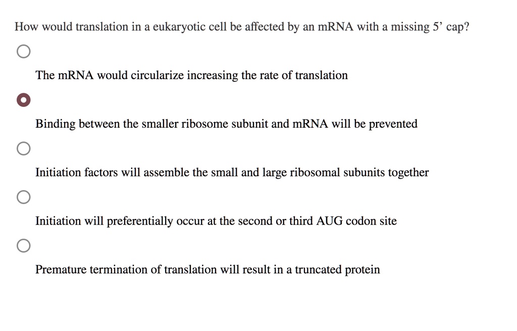 SOLVED: How would translation in a eukaryotic cell be affected by an ...