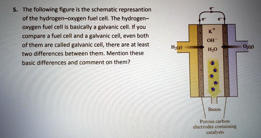 SOLVED: 5. The following figure is the schematic representation of the ...